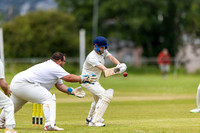 Cricket