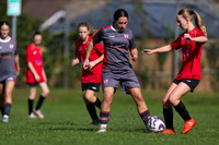 2026 Morley Panthers vs Exmouth Lionesses U16