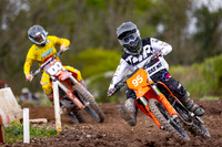 Motorsports